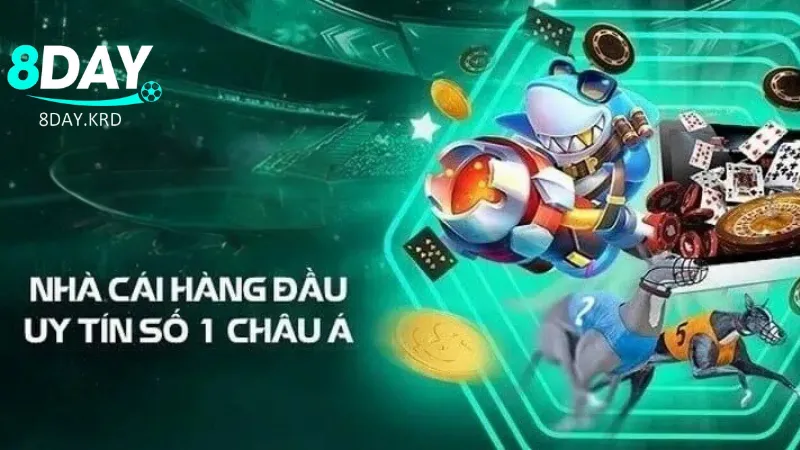 Dịch vụ và tính năng đặc biệt của 8Day